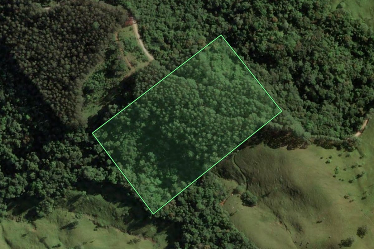 Imagem de satélite do imóvel rural em São Bonifácio (SC), com o contorno declarado no CAR desenhado por cima.
