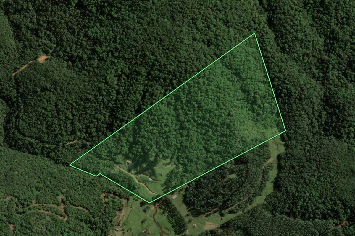 Imagem de satélite do imóvel rural em São Bonifácio (SC), com o contorno declarado no CAR desenhado por cima.