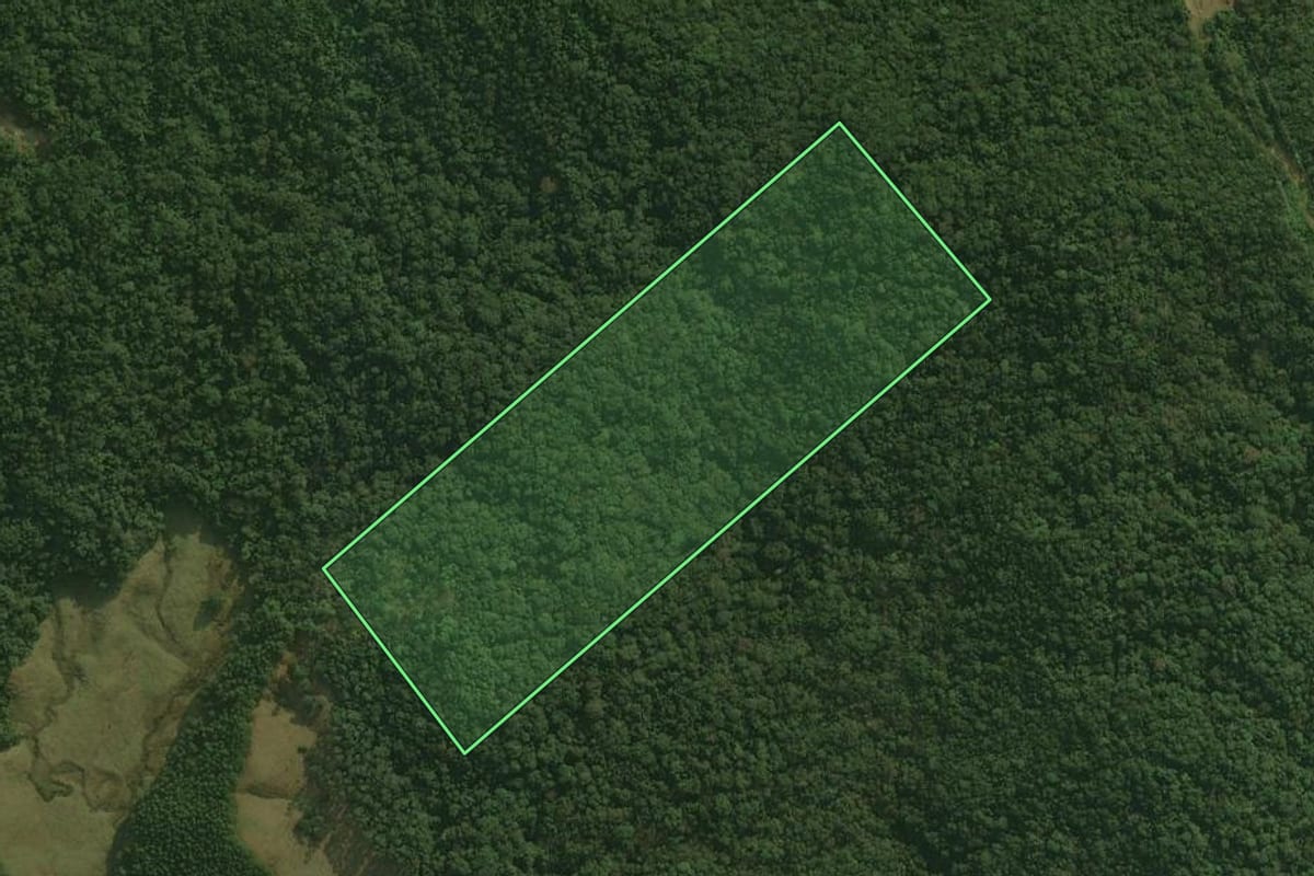 Imagem de satélite do imóvel rural em São Bonifácio (SC), com o contorno declarado no CAR desenhado por cima.