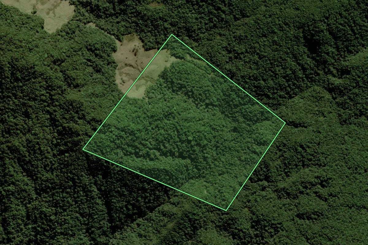 Imagem de satélite do imóvel rural em São Bonifácio (SC), com o contorno declarado no CAR desenhado por cima.