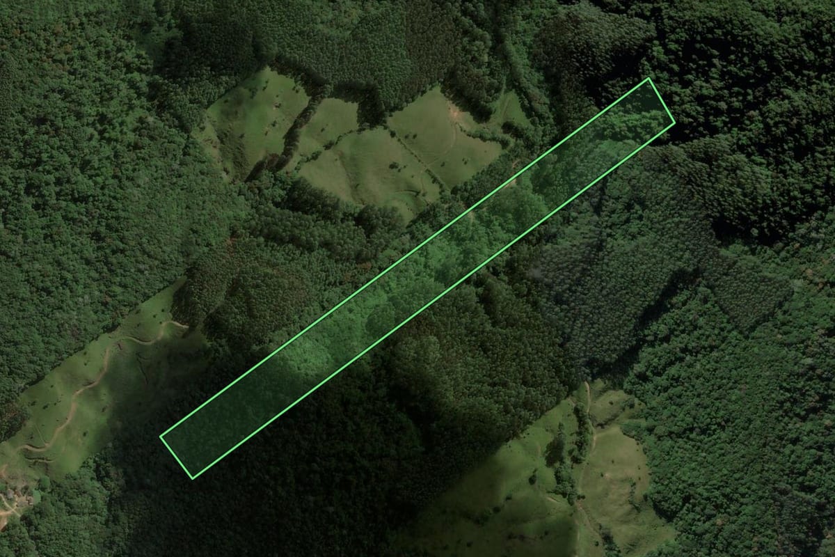 Imagem de satélite do imóvel rural em São Bonifácio (SC), com o contorno declarado no CAR desenhado por cima.