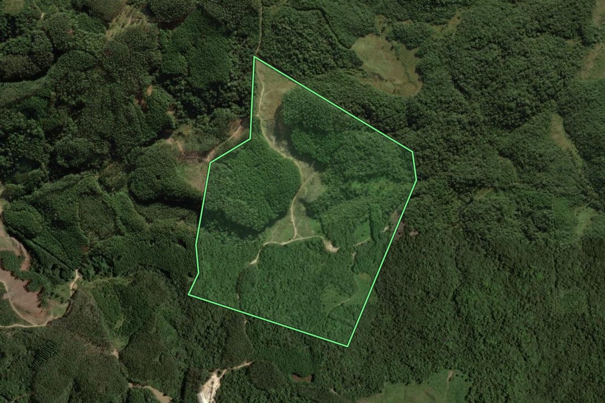 Imagem de satélite do imóvel rural em São Bonifácio (SC), com o contorno declarado no CAR desenhado por cima.