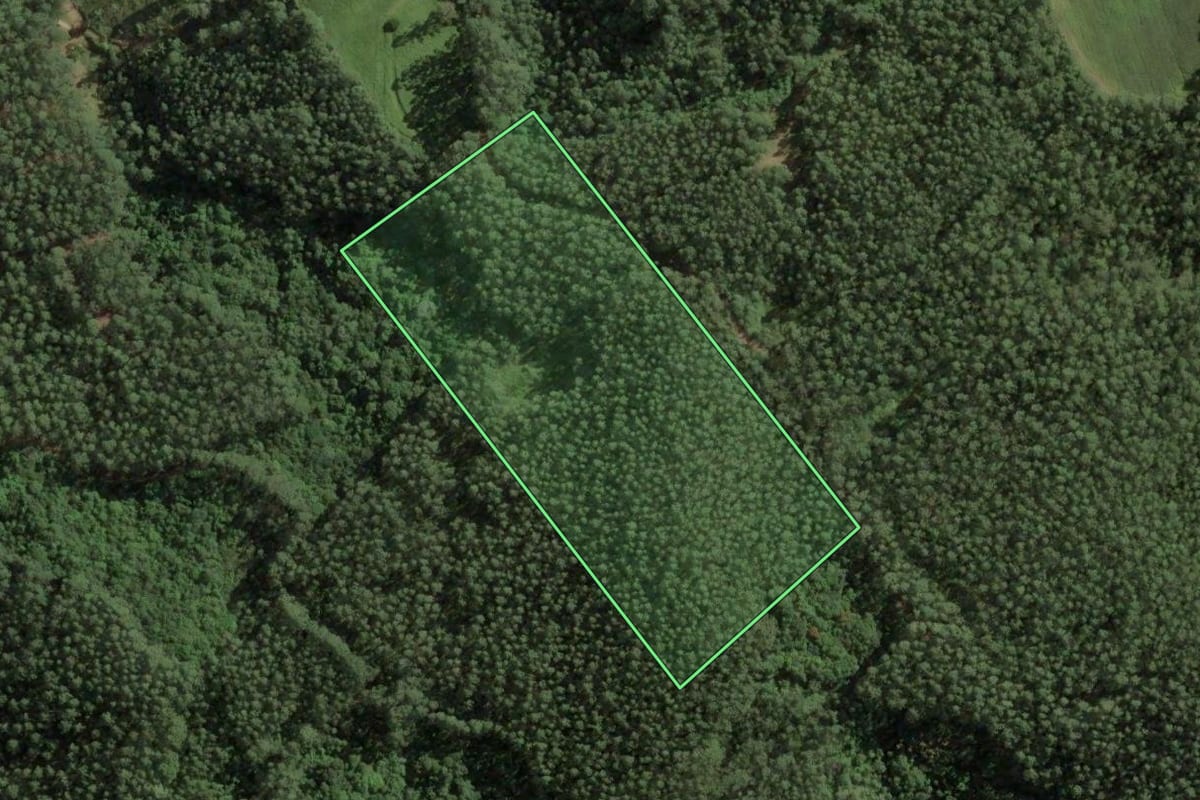 Imagem de satélite do imóvel rural em São Bonifácio (SC), com o contorno declarado no CAR desenhado por cima.