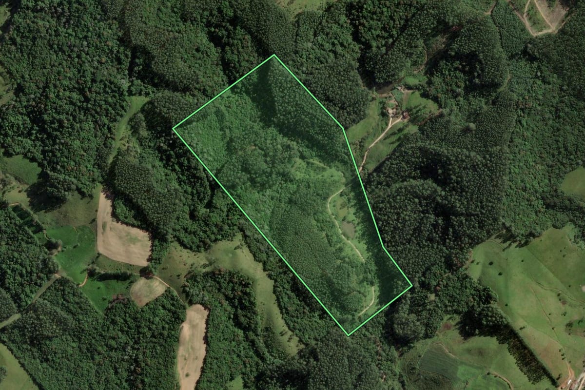 Imagem de satélite do imóvel rural em São Bonifácio (SC), com o contorno declarado no CAR desenhado por cima.
