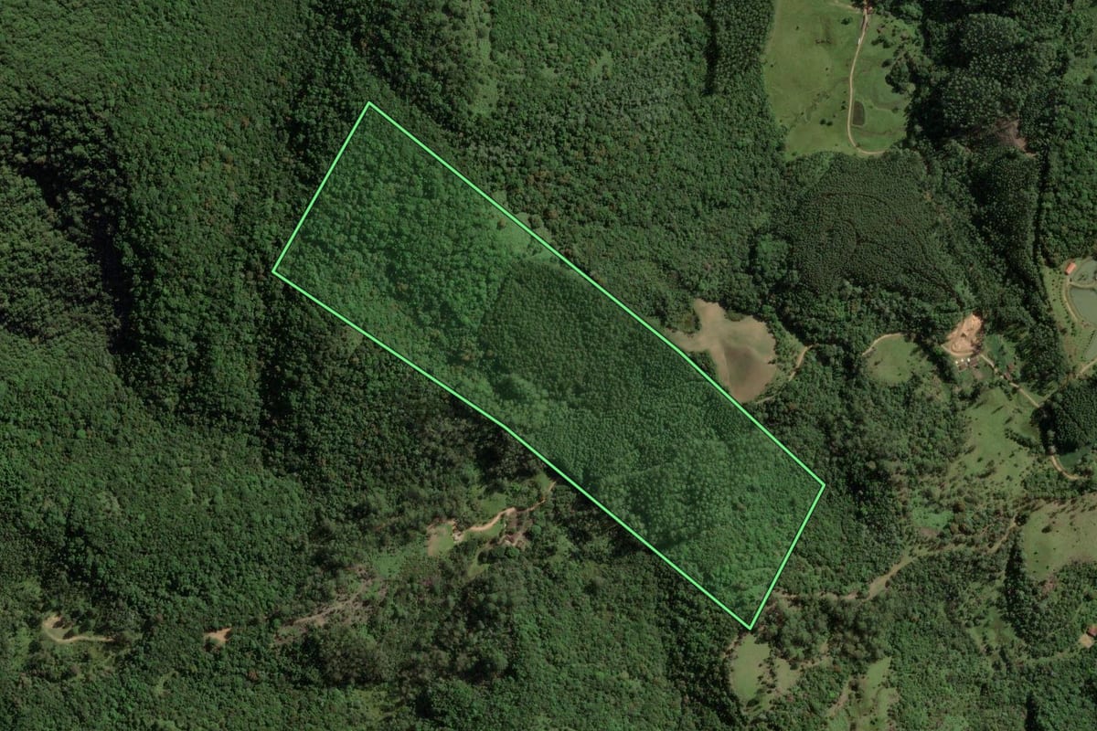 Imagem de satélite do imóvel rural em São Bonifácio (SC), com o contorno declarado no CAR desenhado por cima.