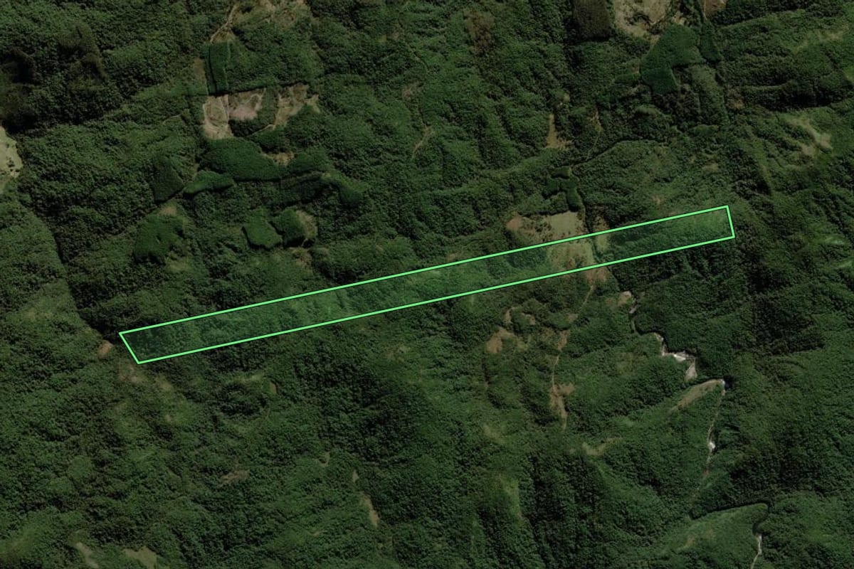 Imagem de satélite do imóvel rural em São Bonifácio (SC), com o contorno declarado no CAR desenhado por cima.