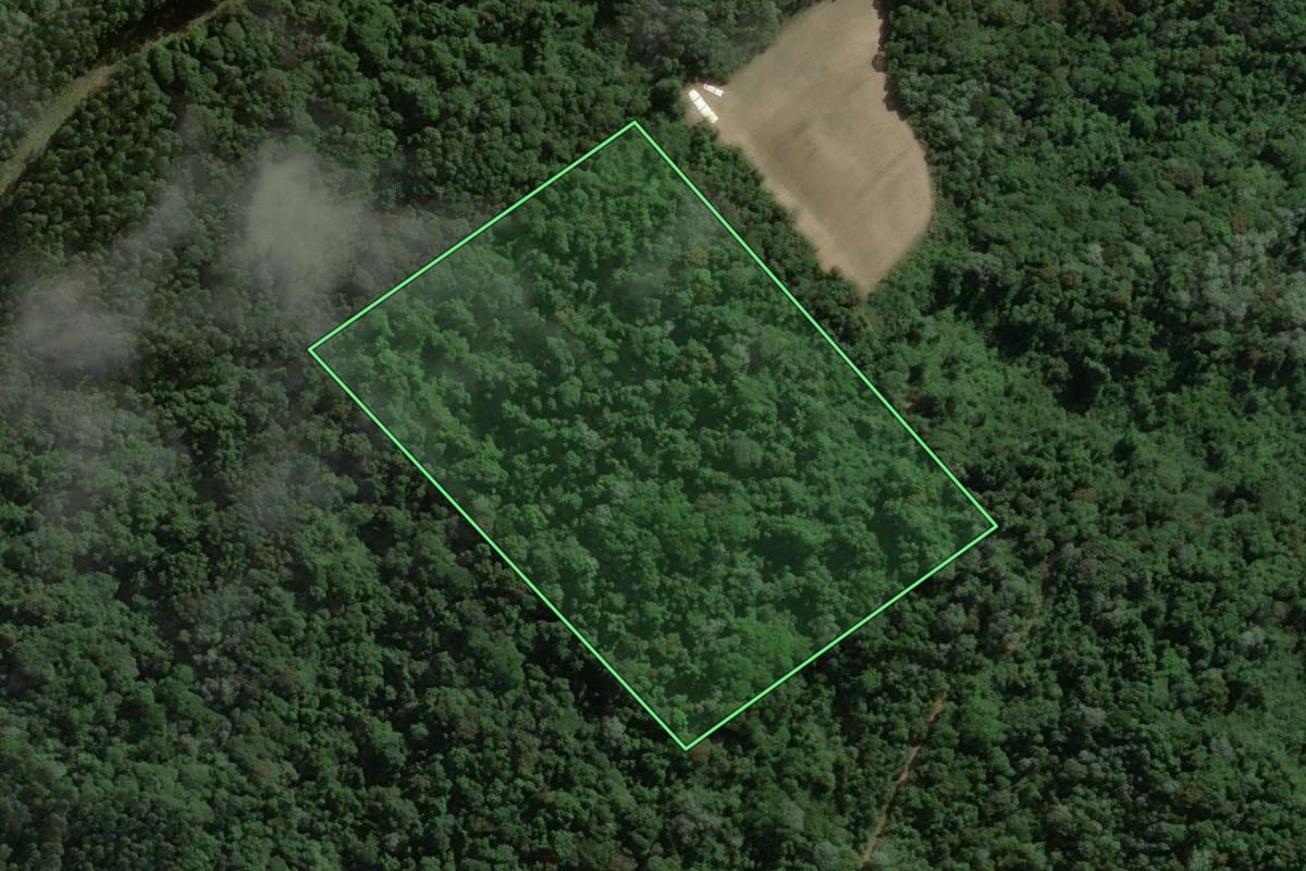 Imagem de satélite do imóvel rural em São Bonifácio (SC), com o contorno declarado no CAR desenhado por cima.