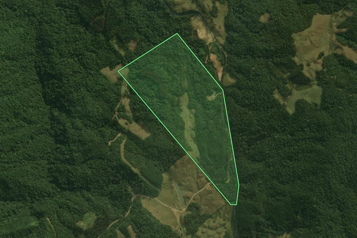 Imagem de satélite do imóvel rural em São Bonifácio (SC), com o contorno declarado no CAR desenhado por cima.