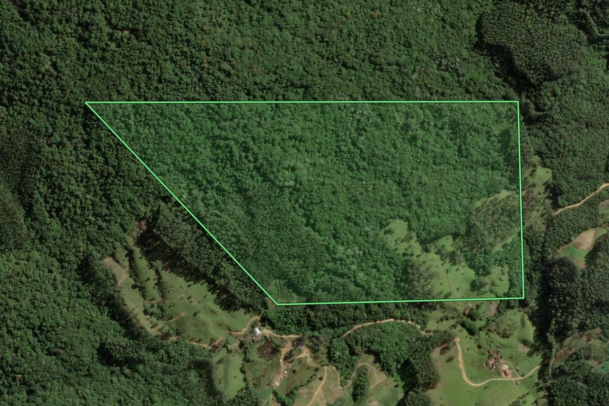 Imagem de satélite do imóvel rural em São Bonifácio (SC), com o contorno declarado no CAR desenhado por cima.