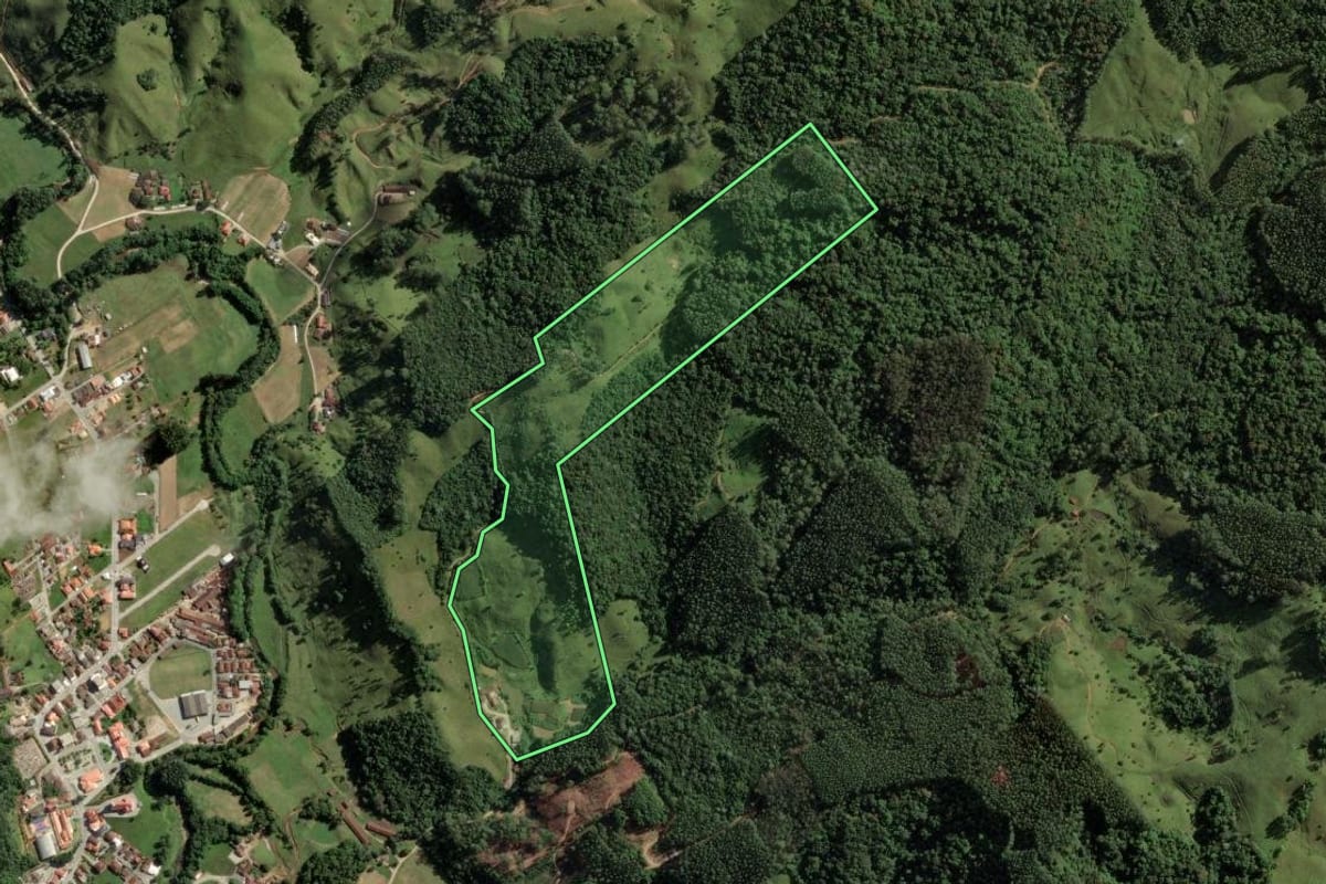 Imagem de satélite do imóvel rural em São Bonifácio (SC), com o contorno declarado no CAR desenhado por cima.