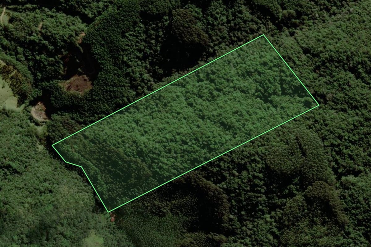 Imagem de satélite do imóvel rural em São Bonifácio (SC), com o contorno declarado no CAR desenhado por cima.