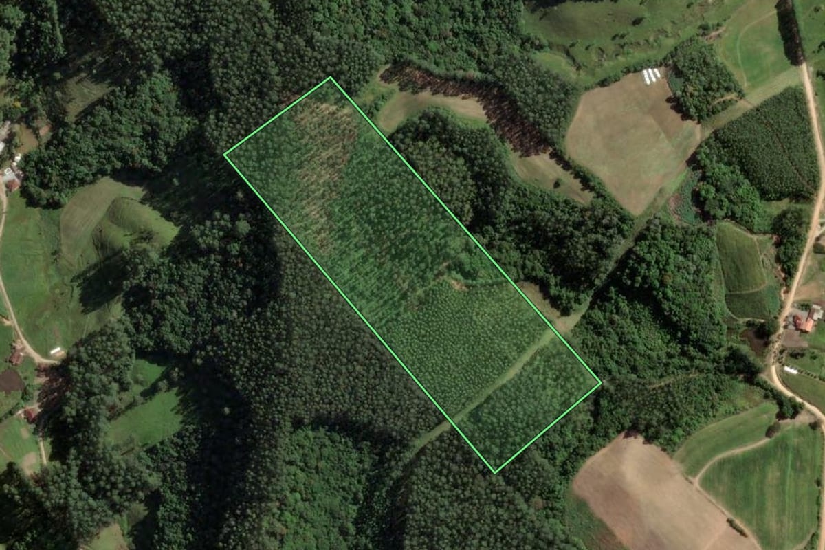 Imagem de satélite do imóvel rural em São Bonifácio (SC), com o contorno declarado no CAR desenhado por cima.