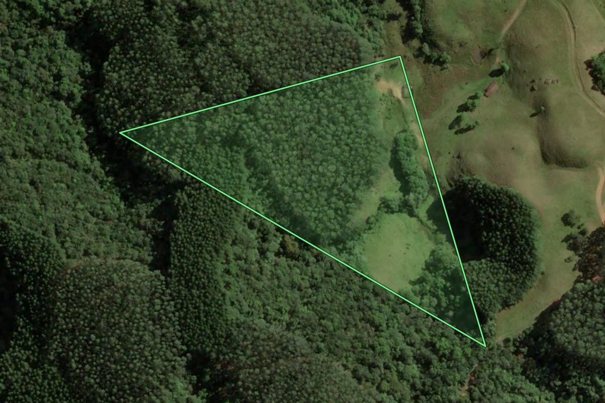 Imagem de satélite do imóvel rural em São Bonifácio (SC), com o contorno declarado no CAR desenhado por cima.