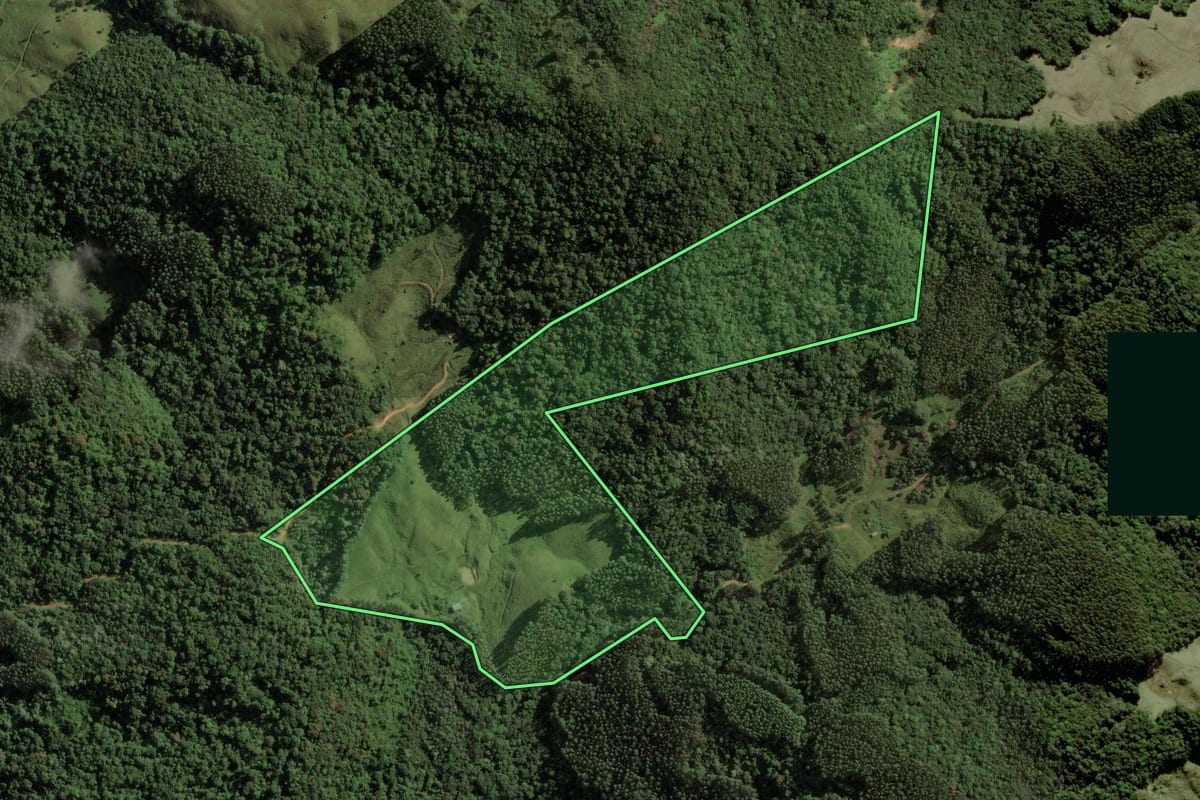 Imagem de satélite do imóvel rural em São Bonifácio (SC), com o contorno declarado no CAR desenhado por cima.