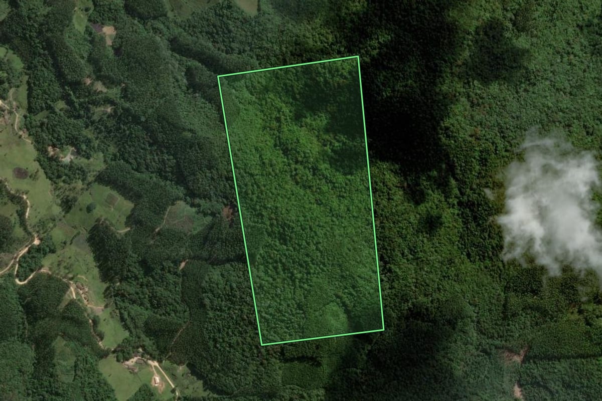 Imagem de satélite do imóvel rural em São Bonifácio (SC), com o contorno declarado no CAR desenhado por cima.