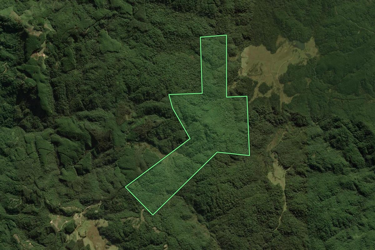 Imagem de satélite do imóvel rural em São Bonifácio (SC), com o contorno declarado no CAR desenhado por cima.