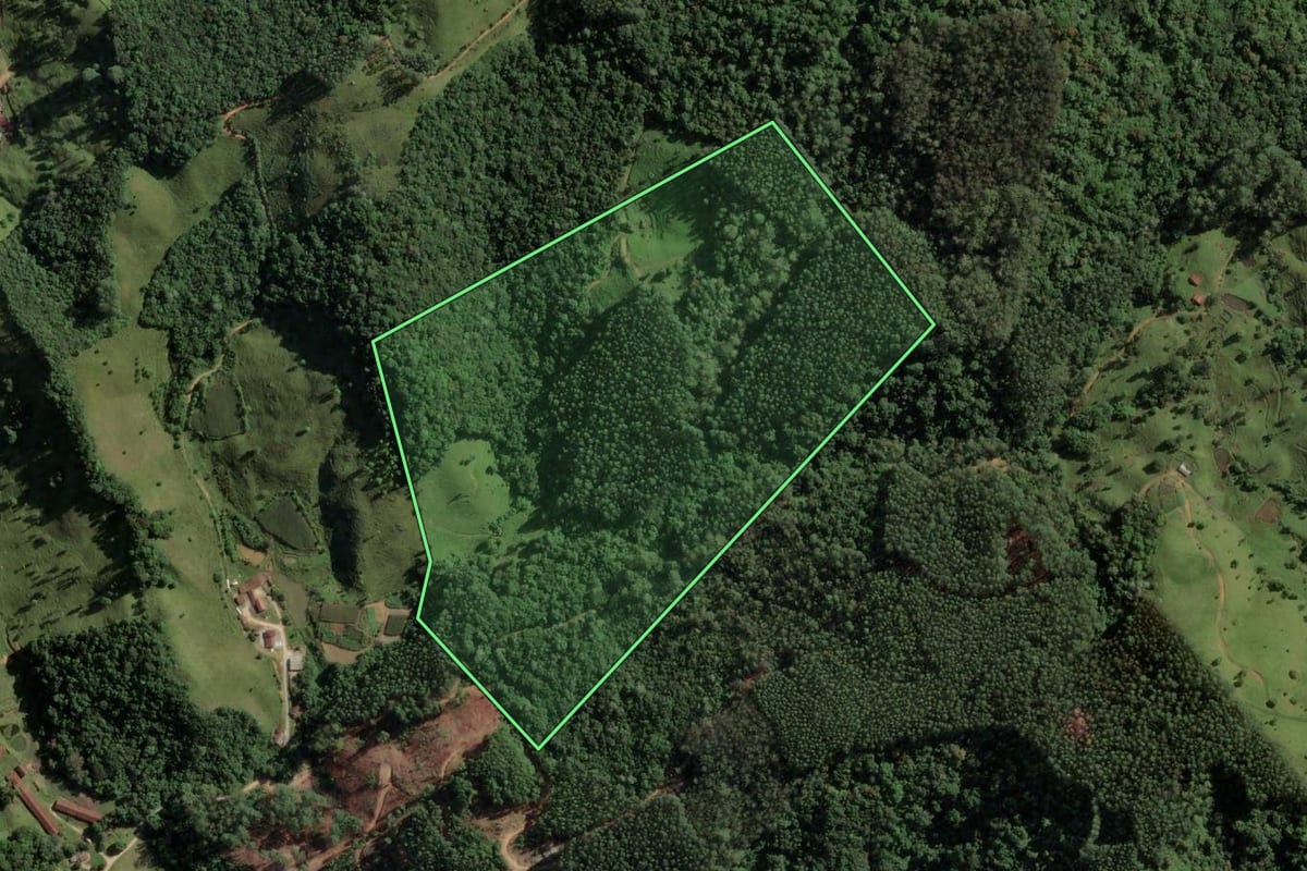Imagem de satélite do imóvel rural em São Bonifácio (SC), com o contorno declarado no CAR desenhado por cima.
