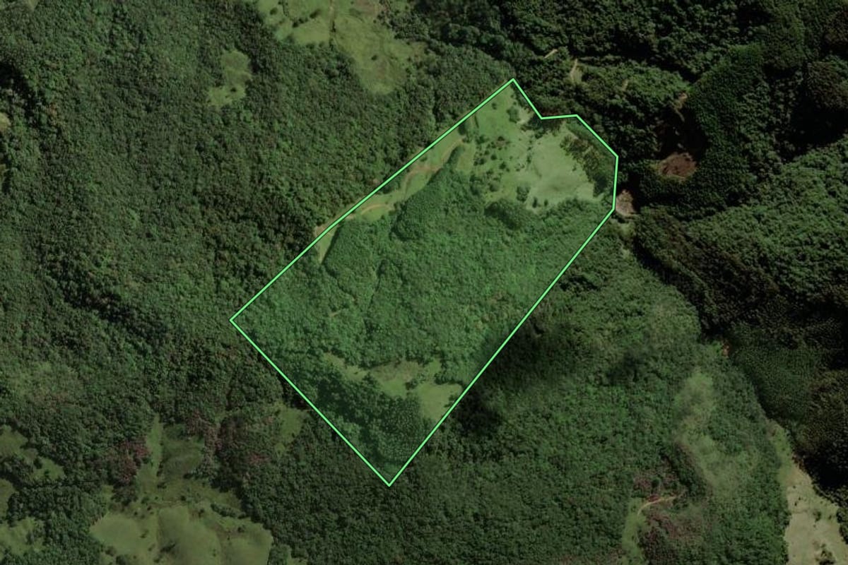 Imagem de satélite do imóvel rural em São Bonifácio (SC), com o contorno declarado no CAR desenhado por cima.