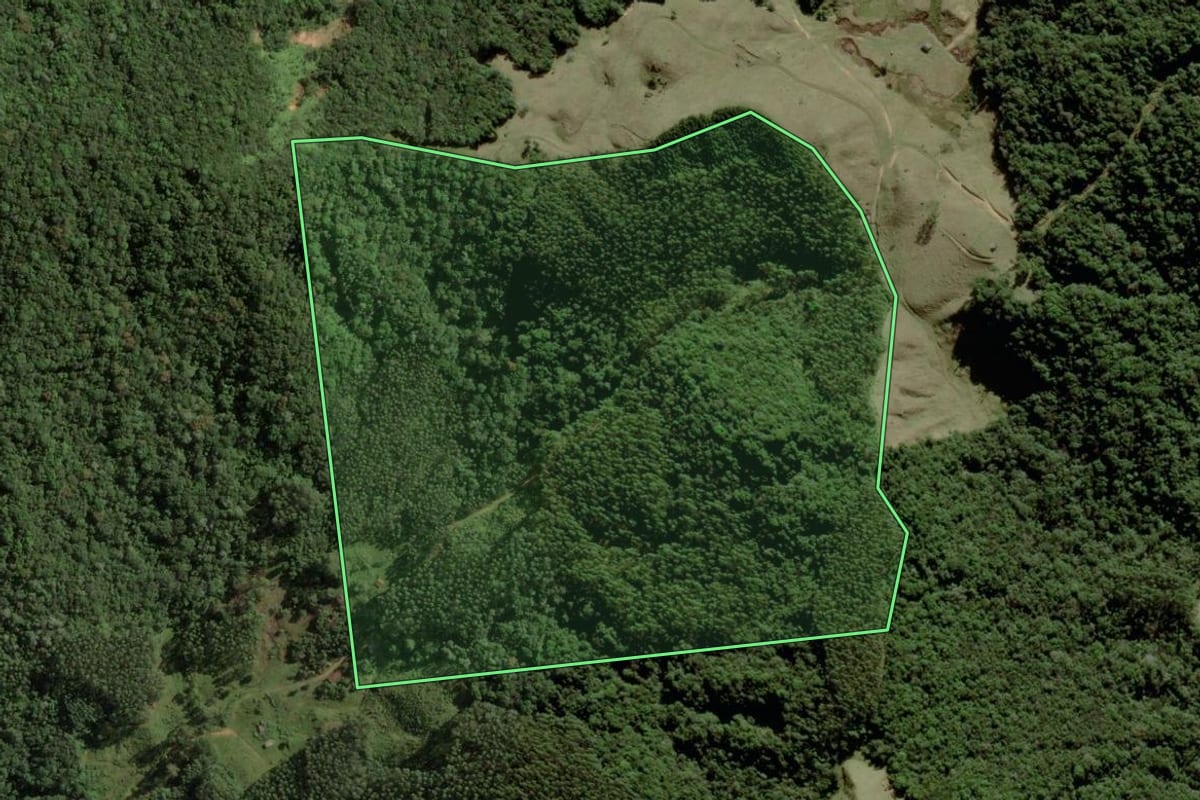 Imagem de satélite do imóvel rural em São Bonifácio (SC), com o contorno declarado no CAR desenhado por cima.