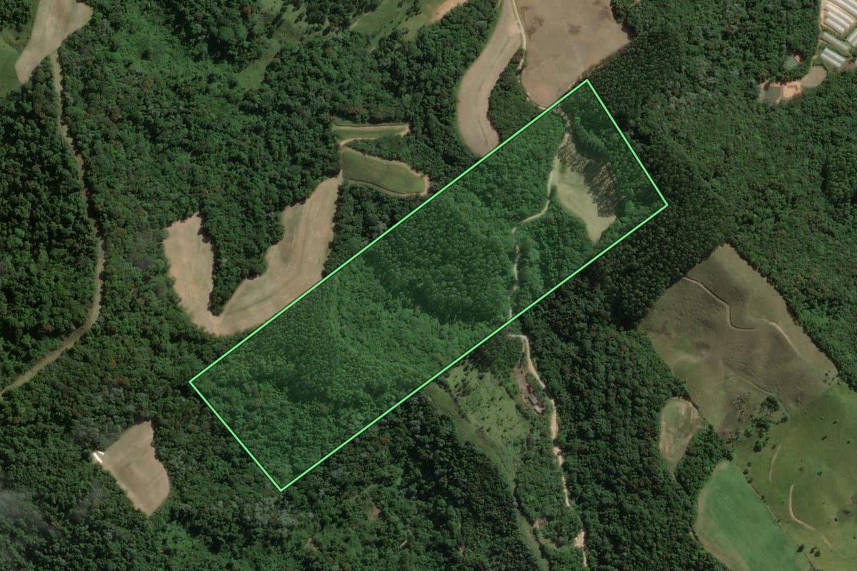 Imagem de satélite do imóvel rural em São Bonifácio (SC), com o contorno declarado no CAR desenhado por cima.