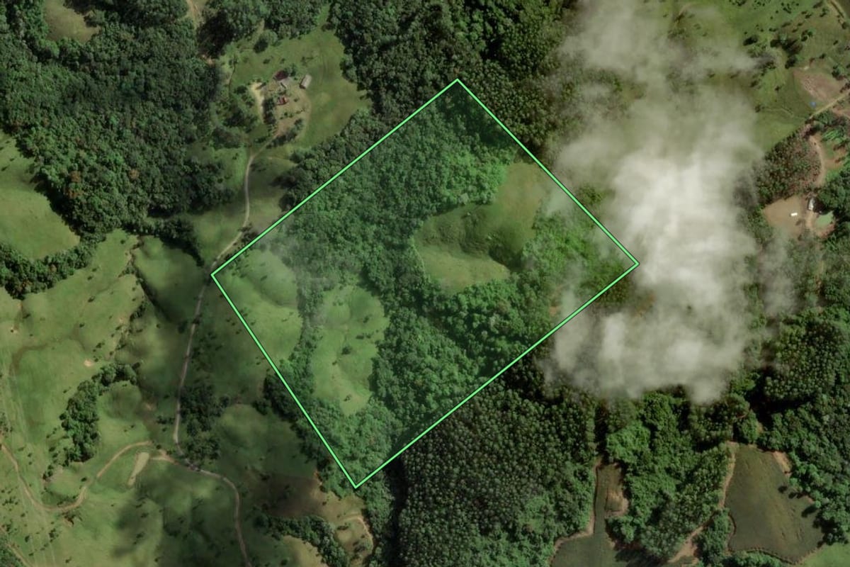 Imagem de satélite do imóvel rural em São Bonifácio (SC), com o contorno declarado no CAR desenhado por cima.