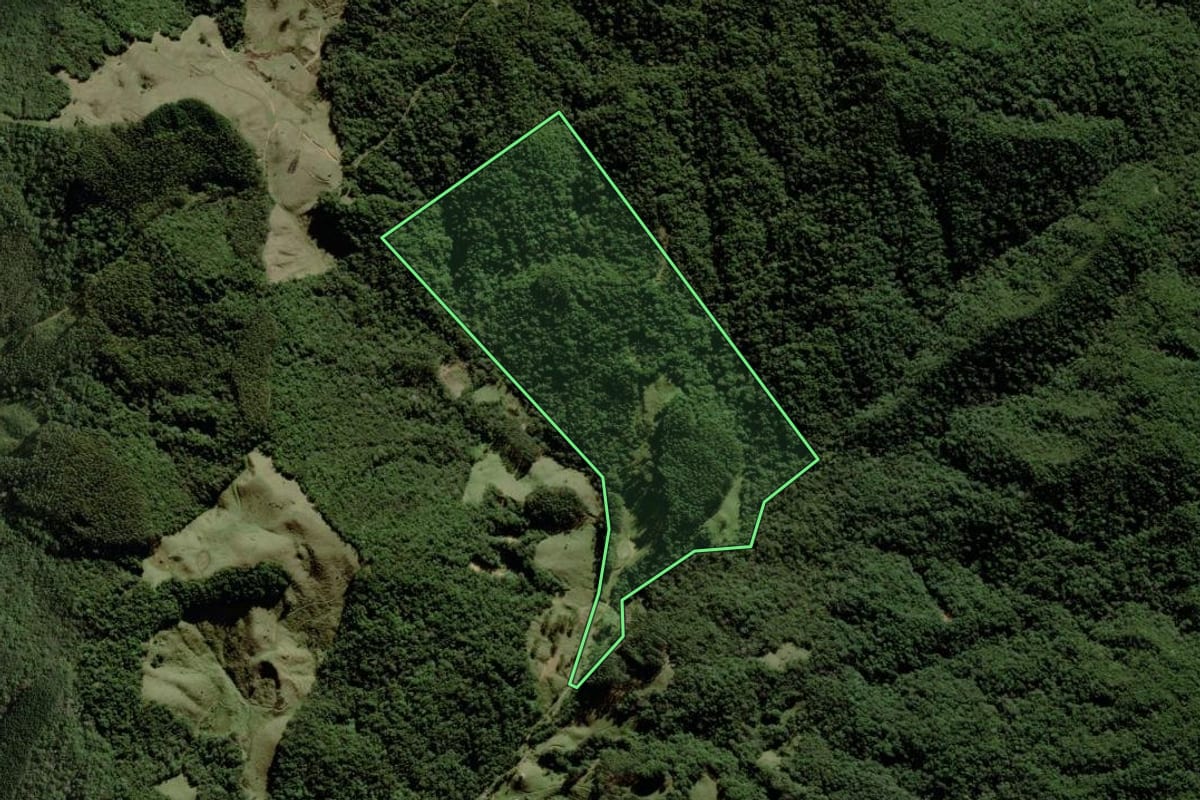Imagem de satélite do imóvel rural em São Bonifácio (SC), com o contorno declarado no CAR desenhado por cima.