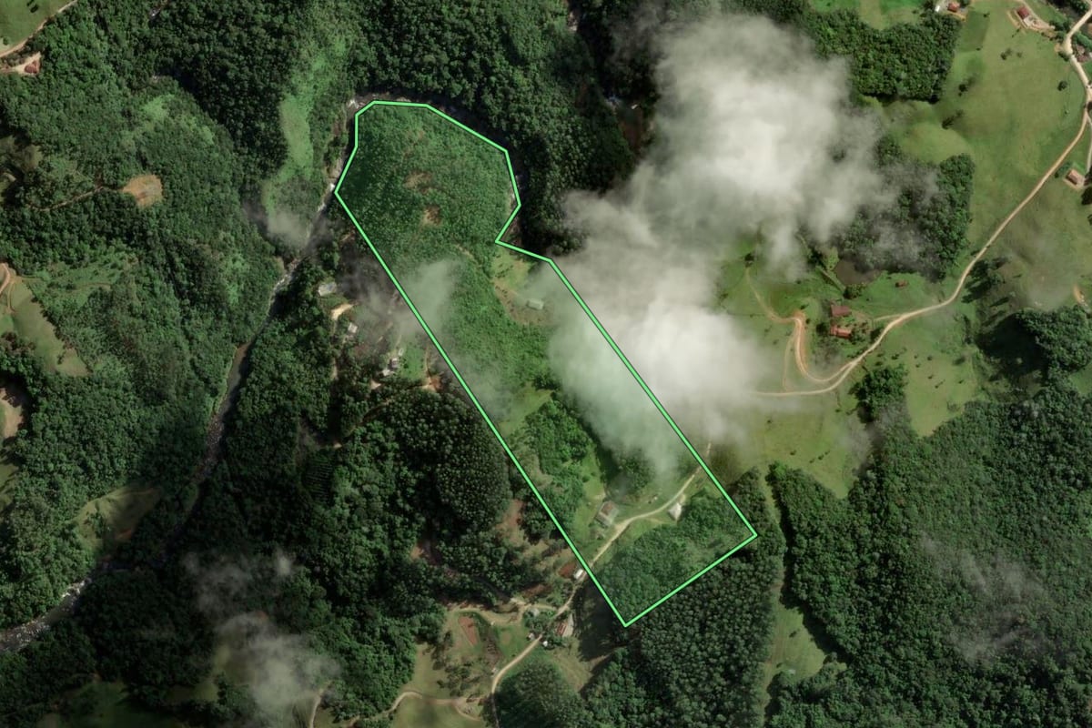 Imagem de satélite do imóvel rural em São Bonifácio (SC), com o contorno declarado no CAR desenhado por cima.