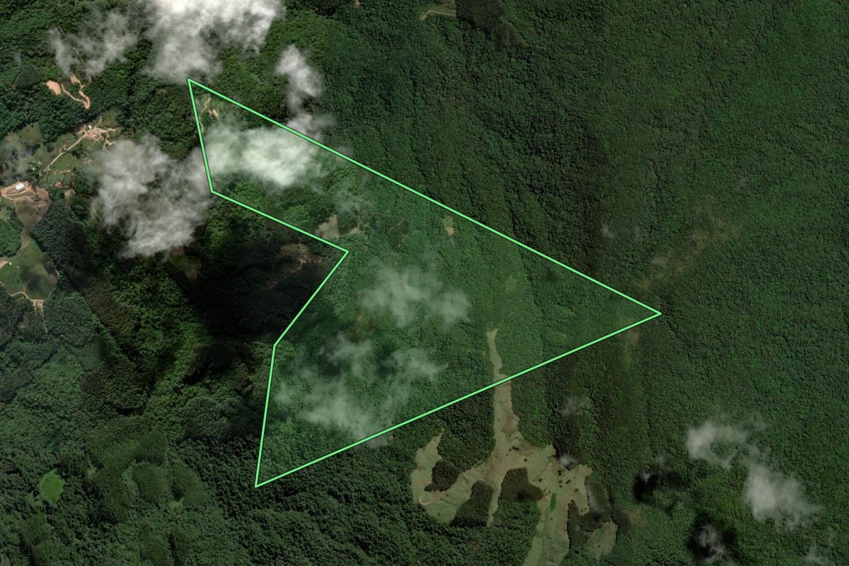 Imagem de satélite do imóvel rural em São Bonifácio (SC), com o contorno declarado no CAR desenhado por cima.