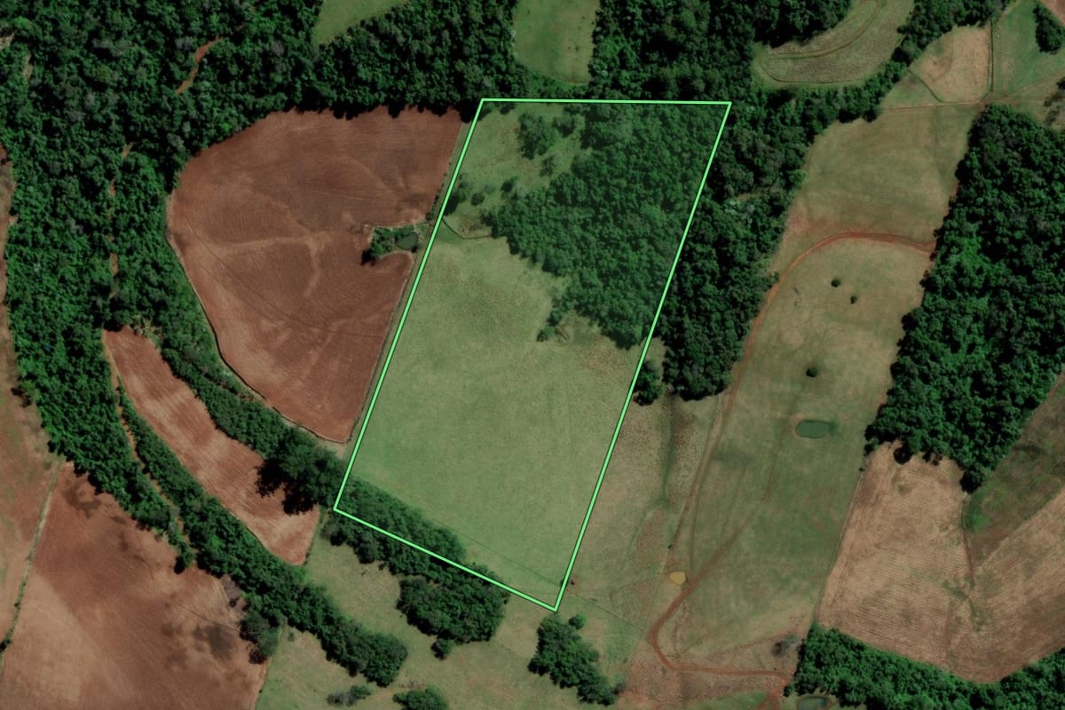 Imagem de satélite do imóvel rural em São Carlos (SC), com o contorno declarado no CAR desenhado por cima.
