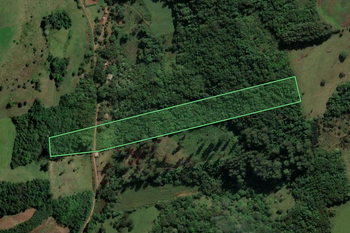 Imagem de satélite do imóvel rural em São Carlos (SC), com o contorno declarado no CAR desenhado por cima.