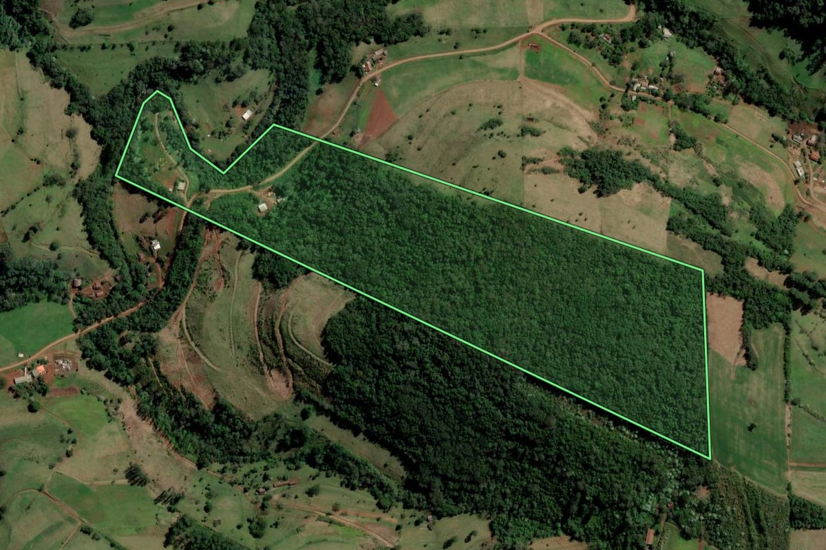 Imagem de satélite do imóvel rural em São Carlos (SC), com o contorno declarado no CAR desenhado por cima.