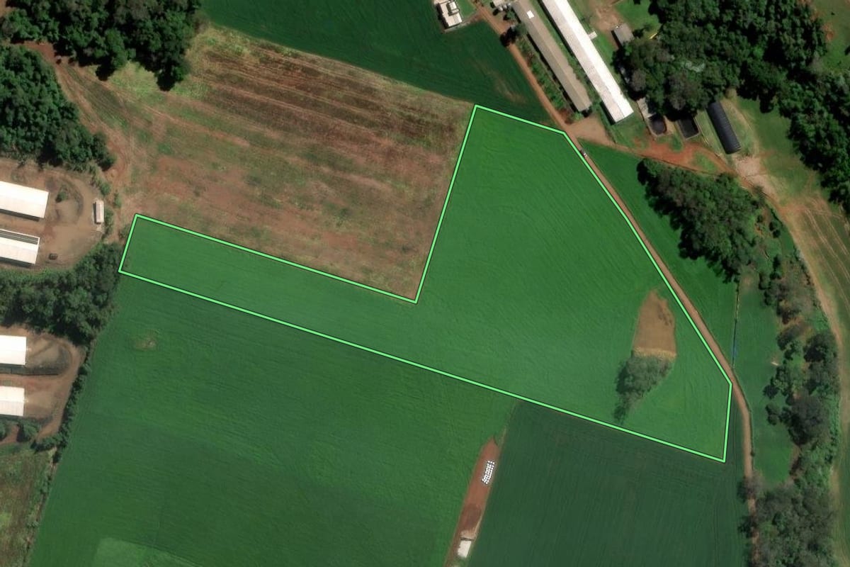 Imagem de satélite do imóvel rural em São Carlos (SC), com o contorno declarado no CAR desenhado por cima.
