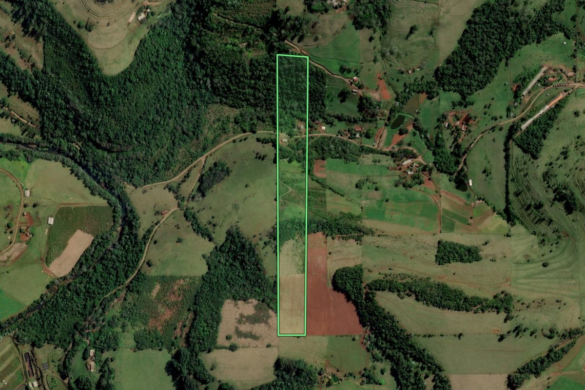 Imagem de satélite do imóvel rural em São Carlos (SC), com o contorno declarado no CAR desenhado por cima.