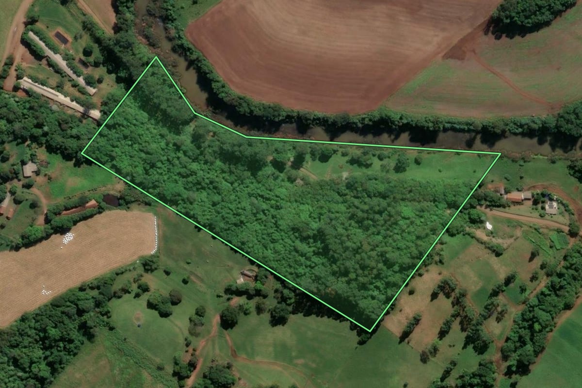 Imagem de satélite do imóvel rural em São Carlos (SC), com o contorno declarado no CAR desenhado por cima.