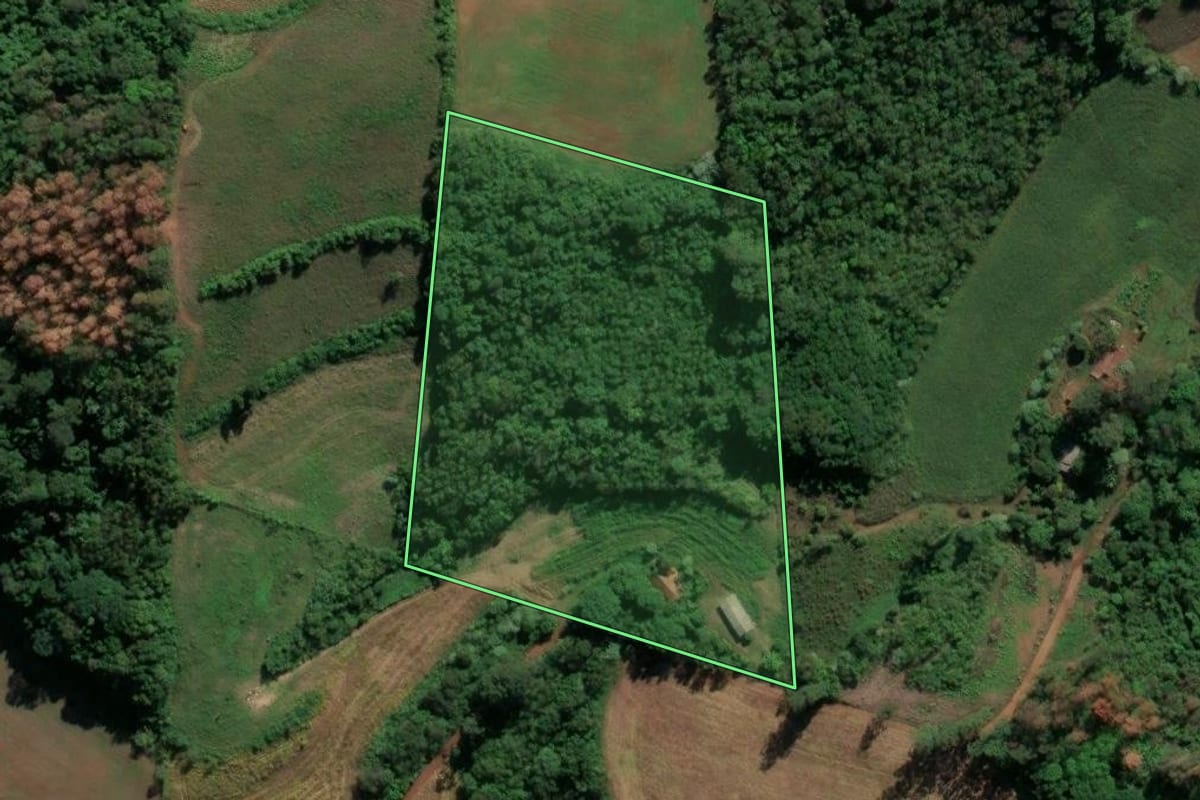 Imagem de satélite do imóvel rural em São Carlos (SC), com o contorno declarado no CAR desenhado por cima.