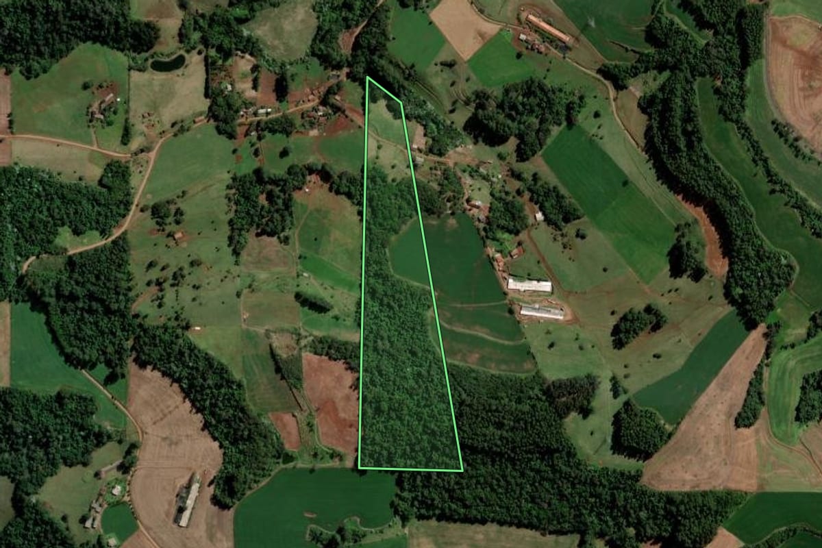 Imagem de satélite do imóvel rural em São Carlos (SC), com o contorno declarado no CAR desenhado por cima.