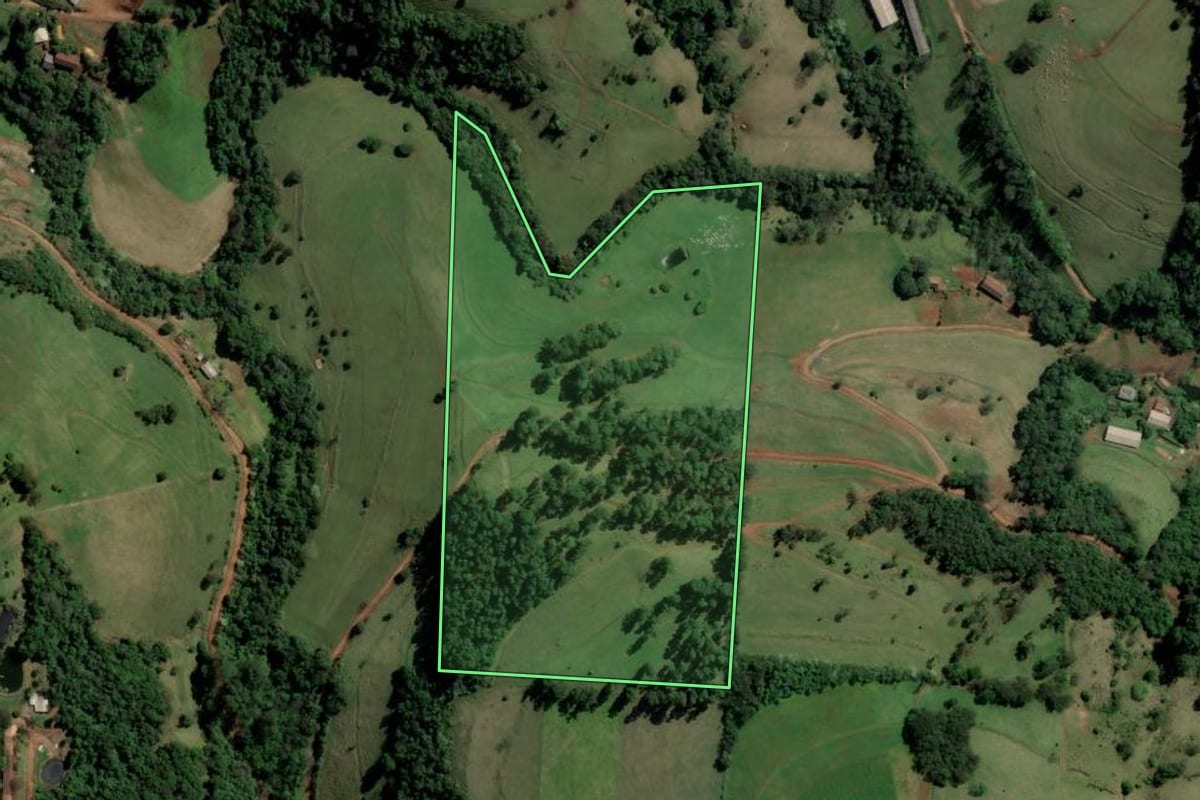 Imagem de satélite do imóvel rural em São Carlos (SC), com o contorno declarado no CAR desenhado por cima.
