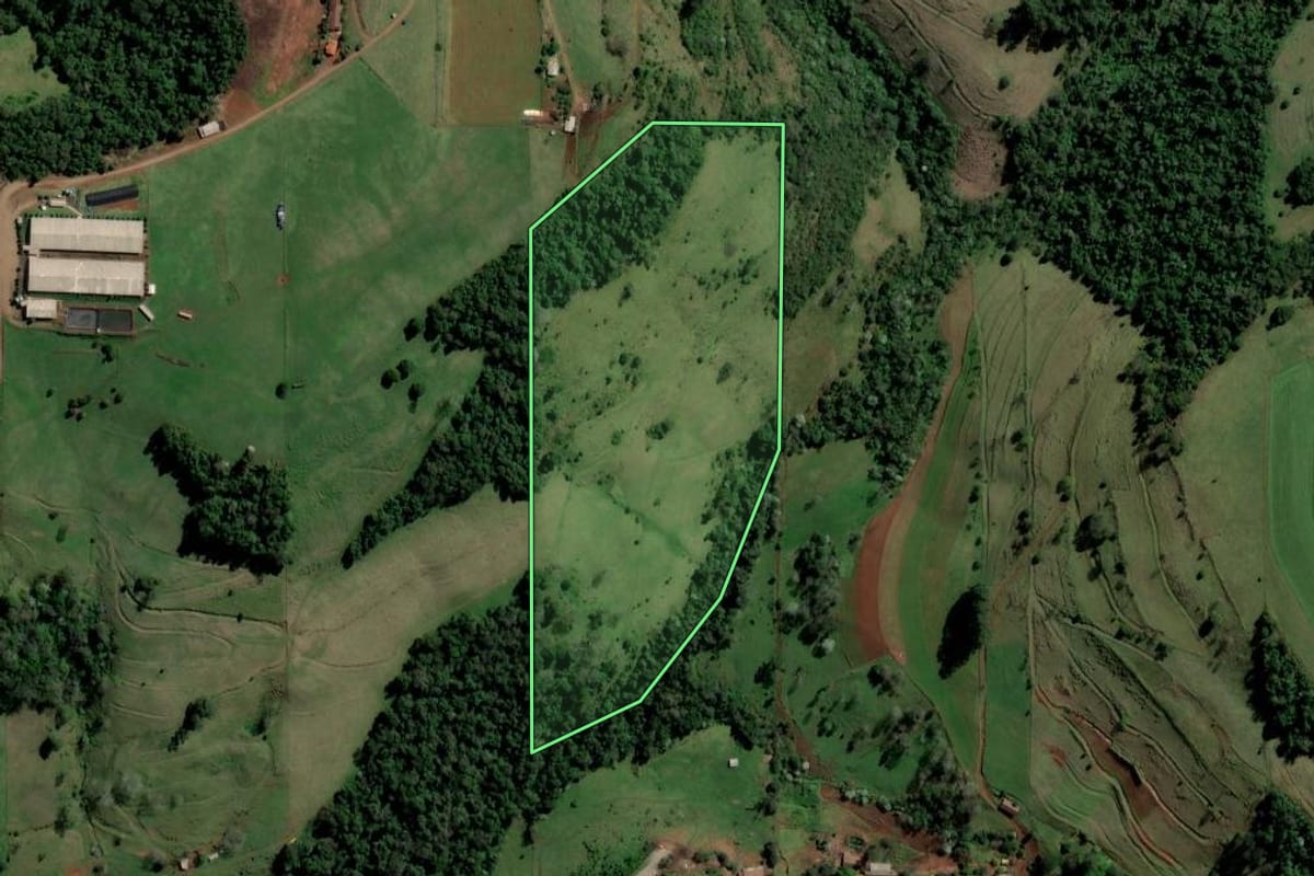 Imagem de satélite do imóvel rural em São Carlos (SC), com o contorno declarado no CAR desenhado por cima.