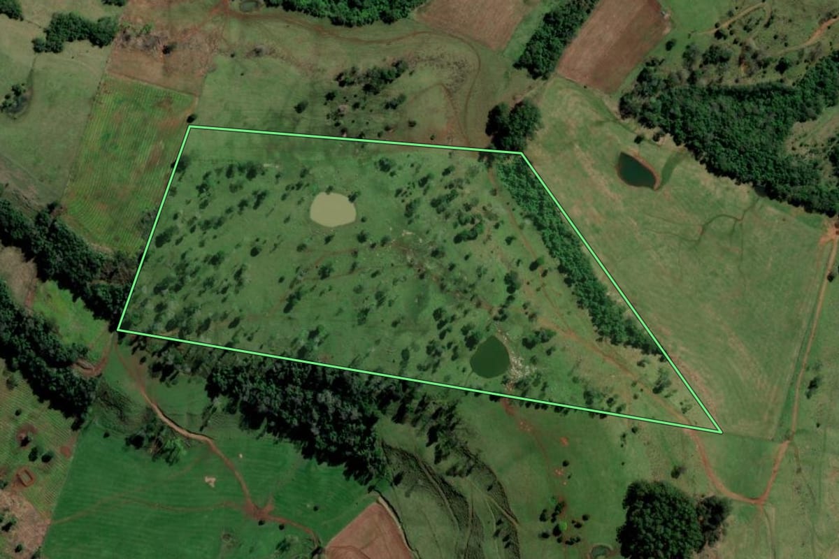 Imagem de satélite do imóvel rural em São Carlos (SC), com o contorno declarado no CAR desenhado por cima.