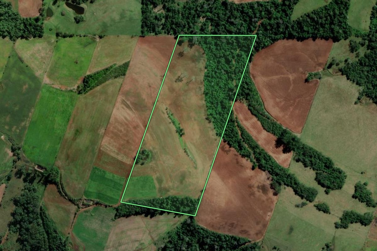 Imagem de satélite do imóvel rural em São Carlos (SC), com o contorno declarado no CAR desenhado por cima.