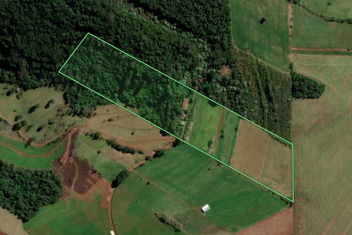 Imagem de satélite do imóvel rural em São Carlos (SC), com o contorno declarado no CAR desenhado por cima.