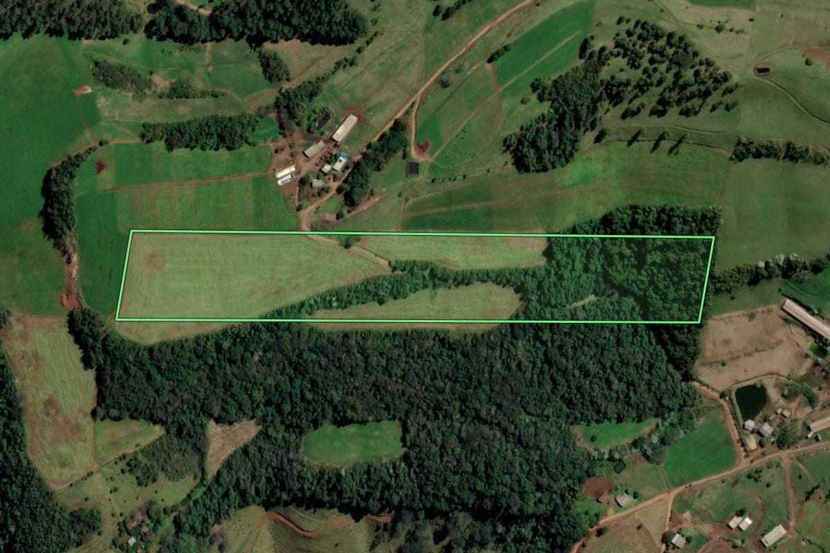 Imagem de satélite do imóvel rural em São Carlos (SC), com o contorno declarado no CAR desenhado por cima.