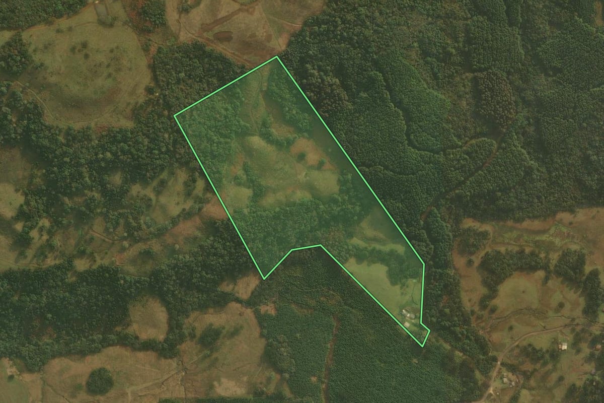Imagem de satélite do imóvel rural em São Cristóvão do Sul (SC), com o contorno declarado no CAR desenhado por cima.