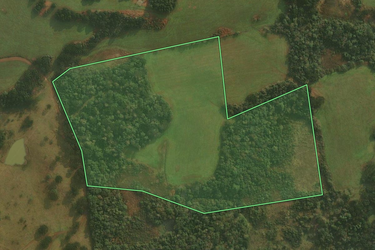 Imagem de satélite do imóvel rural em São Cristóvão do Sul (SC), com o contorno declarado no CAR desenhado por cima.