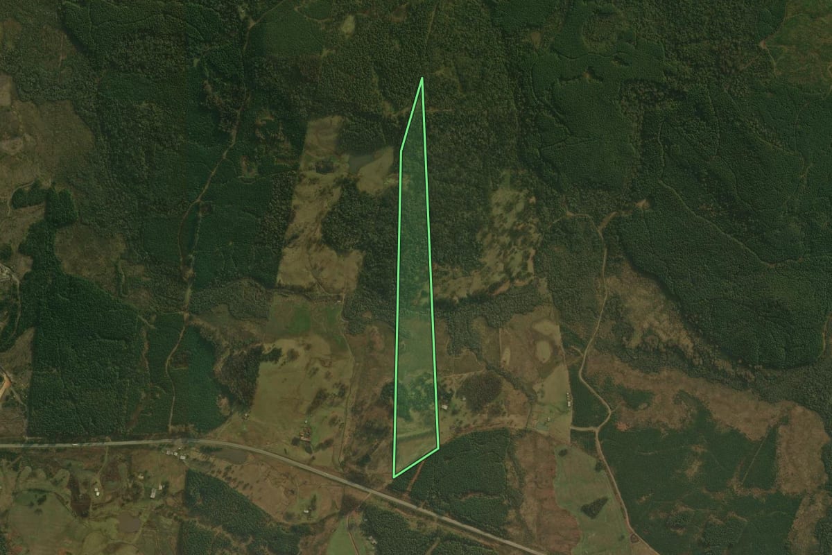 Imagem de satélite do imóvel rural em São Cristóvão do Sul (SC), com o contorno declarado no CAR desenhado por cima.
