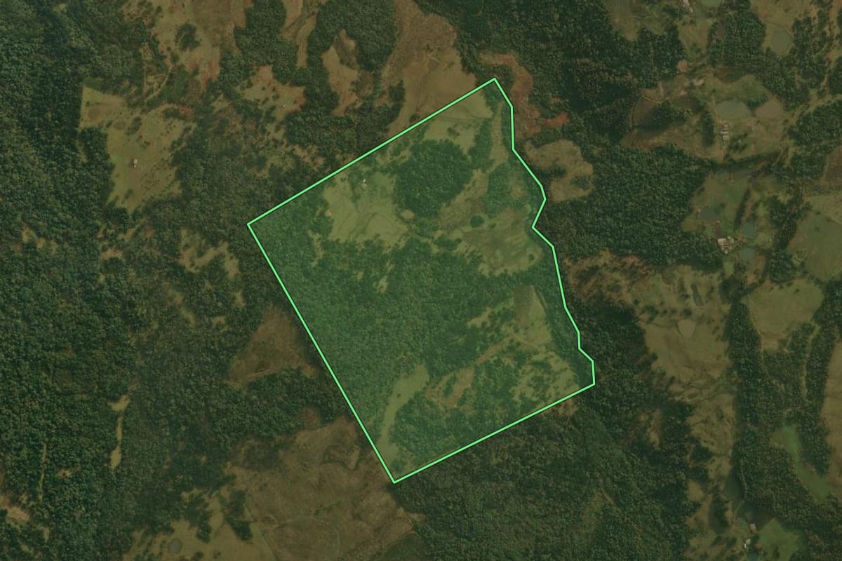 Imagem de satélite do imóvel rural em São Cristóvão do Sul (SC), com o contorno declarado no CAR desenhado por cima.