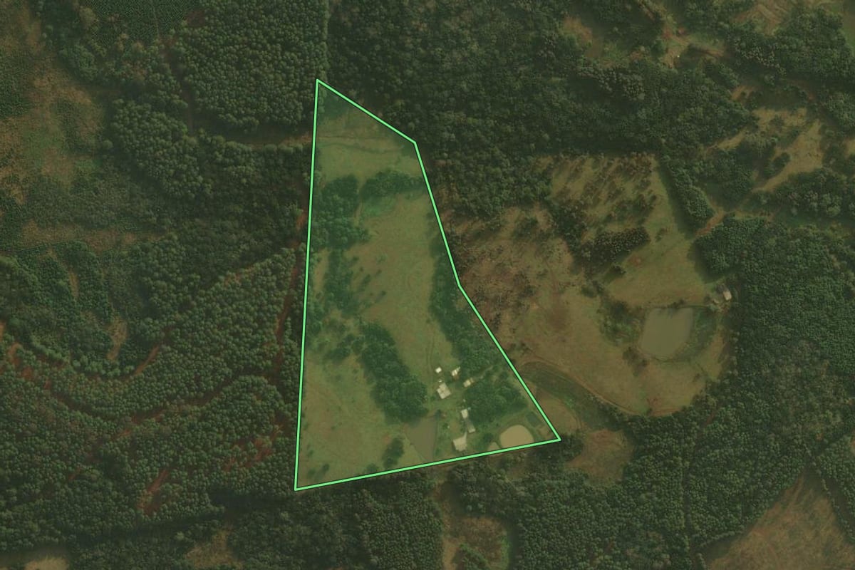Imagem de satélite do imóvel rural em São Cristóvão do Sul (SC), com o contorno declarado no CAR desenhado por cima.