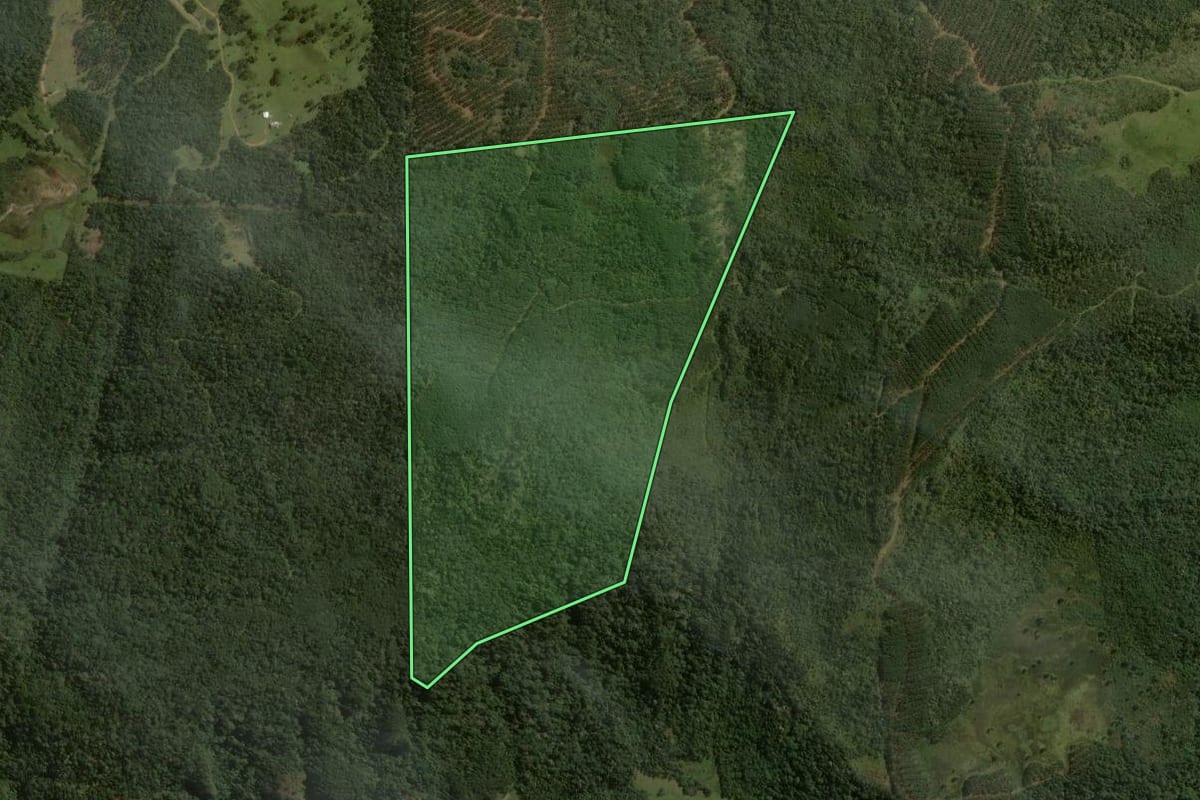 Imagem de satélite do imóvel rural em São Cristóvão do Sul (SC), com o contorno declarado no CAR desenhado por cima.