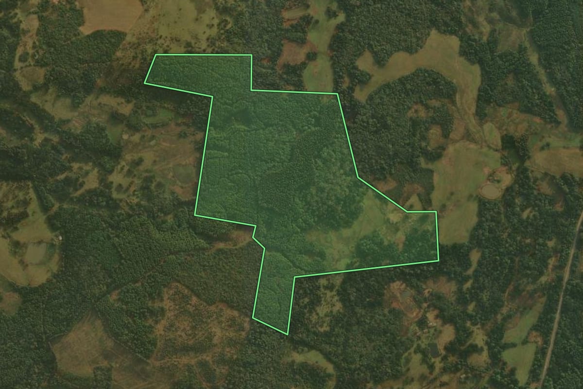 Imagem de satélite do imóvel rural em São Cristóvão do Sul (SC), com o contorno declarado no CAR desenhado por cima.