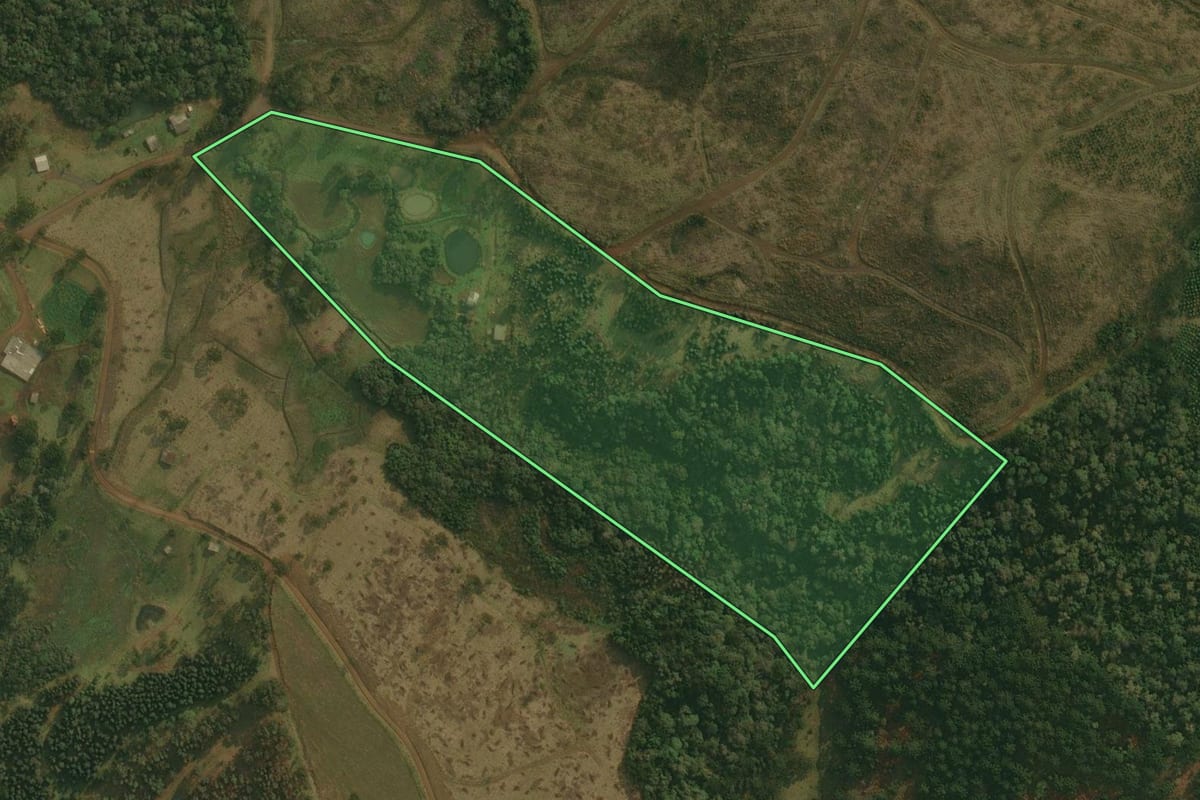 Imagem de satélite do imóvel rural em São Cristóvão do Sul (SC), com o contorno declarado no CAR desenhado por cima.